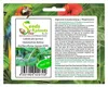 10x Lablab purpureus Helmbohne Bohne Kletterpflanze Samen Produktbild-Vorschau 1