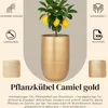 Blumentopf Camiel gold 71cm - hoher runder Pflanzkübel aus Produktbild-Vorschau 3