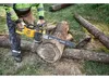 DeWALT Akku-Kettensäge DCMCS575N-XJ, 50cm Schwert, Produktbild-Vorschau 18