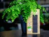 Fertilizzante BIOPON con vermicompost 30 pz Anteprima dell’immagine prodotto 4