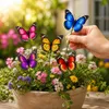 3D Schmetterling Gartenstecker Set 50 St. Wetterfest Deko Produktbild-Vorschau 3