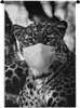MuchoWow® Wandteppich Wandbehang Gepard mit blauem Mund und Produktbild-Vorschau 1
