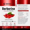 Berberin – 500 mg Extrakt aus Berberis-Aristata-Wurzel zur Produktbild-Vorschau 6