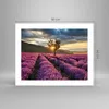 Poster - Poster ohne Rahmen - Lavendel Berge Feld - 50x40 Produktbild-Vorschau 4