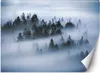 Vlies fototapete Wald im Nebel 100x70 cm Feeby Grau inkl. Produktbild-Vorschau 1