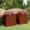 vidaXL Pflanzkübel mit Beinen 2 Stk. Rostig 50x50x50 cm Produktbild-Vorschau 2