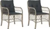vidaXL Gartenstühle mit Kissen 2 Stk. Hellgrau Poly Rattan Produktbild-Vorschau 1