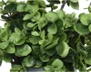 Kaemingk 001116032 Produktbild-Vorschau 3