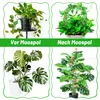 2 Stück Moosstab Monstera, Biegsame Monstera Rankhilfe für Produktbild-Vorschau 7