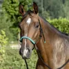 Knotenhalfter mit Zügel schwarz Sehtty/Pony Produktbild-Vorschau 1