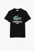 T-shirt  Del Marchio Lacoste Del Modello Tee Shirt Turtle Anteprima dell’immagine prodotto 1