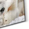 DEQORI Glasbild Echtglas 30x30 cm 'Polare Stille' Wandbild Produktbild-Vorschau 5