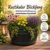 BigDean Weinfass Eichenfass XL 90 Liter Blumenkasten Produktbild-Vorschau 6