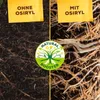 Gehölzdünger Solabiol Baum-,Strauch & Heckendünger Granulat Produktbild-Vorschau 3
