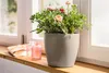 LECHUZA-Pflanzgefäß CLASSICO Color 21 Sandbraun | Produktbild-Vorschau 4