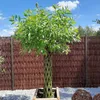 Geflochtener Weidenbaum 180 cm Geflochtene Weide - Produktbild-Vorschau 1