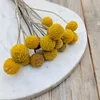 Craspedia - (Natürliche Extra Craspedia) - Bouquet mit 15 Produktbild-Vorschau 2