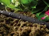 Hozelock Tropfschlauch 10 m Produktbild-Vorschau 4