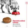 Royal Canin Size Maxi Adult 5+ - 15 kg Náhled obrázku produktu 6