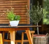 A white self-watering planter with flowers sits on a wooden table, with a potted tree in a basket in the background. Náhled obrázku produktu