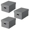 Esselte 628283 3 Esselte Home Aufbewahrungsboxen 17,5 l Voir les images du produit 4