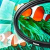 Filtr polaryzacyjny z powłoką okrągłą 62 mm Podgląd zdjęcia produktu 2