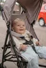 MamaLoes Milan Taupe 1-Personen-Buggy Produktbild-Vorschau 5