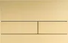 A close-up, front-facing view of a gold flush plate for a toilet. Produktbild-Vorschau