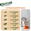 Animalsan DarmBalance 64ml – vegane Paste für Hunde & Produktbild-Vorschau 7