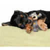 KONG Katzenspielzeug KONG Wild Knots Bears XS Produktbild-Vorschau 19