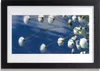 Bild 30x20 MDF-Rahmen Wandkunst Blumen Pflanzen Natur Produktbild-Vorschau 1