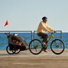 NAVA WALK – Rimorchio per bici e passeggino 2 in 1 per 2 Anteprima dell’immagine prodotto 3