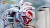 A frosted red rose with two rolls of white material in the background. Náhľad obrázku produktu