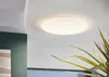 A ceiling lamp is shown mounted on a white ceiling, with a green wall and a plant in the foreground. Produktbild-Vorschau