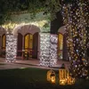 A building facade and a tree decorated with numerous small lights at night, with lanterns on the grass in the foreground. Náhled obrázku produktu