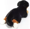 Bernský salašnícky pes ležiaci 40 cm Náhľad obrázku produktu 7