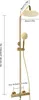 A diagram showing the dimensions of a gold shower system. Náhled obrázku produktu