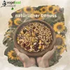 Hands holding a bowl of birdseed with sunflowers in the background. Produktbild-Vorschau