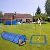 Kit d'agilité pour chiens Peviasot, comprenant : un tunnel Voir les images du produit 9