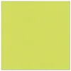 Tovaglioli PAPSTAR "Collezione ROYAL", verde lime Anteprima dell’immagine prodotto 12