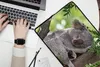 MuchoWow® Laptop Hülle 17 Zoll Laptoptasche Koala - Porträt Produktbild-Vorschau 2