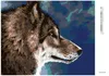 Diamondi - Diamond painting - WOLFSKOPF, 40X50 cm, ohne Produktbild-Vorschau 3