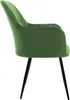 A side view of a green velvet armchair with black metal legs against a white background. Náhled obrázku produktu