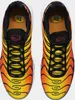A top-down view of a pair of Nike Air Max Plus TN sneakers. Voir les images du produit