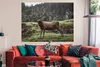 MuchoWow® Poster Hirsch - Baum - Berg 160x120 cm - Foto Produktbild-Vorschau 2