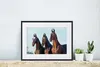 MuchoWow® MuchoWow® Gerahmtes Poster Pferde - Halfter - Produktbild-Vorschau 6