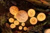 Set di candele di cera a LED 2 pezzi Anteprima dell’immagine prodotto 10