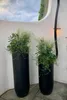 VIVANNO Vase de sol en fibre de verre SOLERIO Rond, noir Voir les images du produit 6
