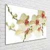 Tulup® Glas-Bild - 100 x 70 - Wandbild aus Glas - Wandkunst Produktbild-Vorschau 2