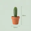 Zynesflora Mini Kakteen im Set - 9 Stück im 5.5 cm Produktbild-Vorschau 4